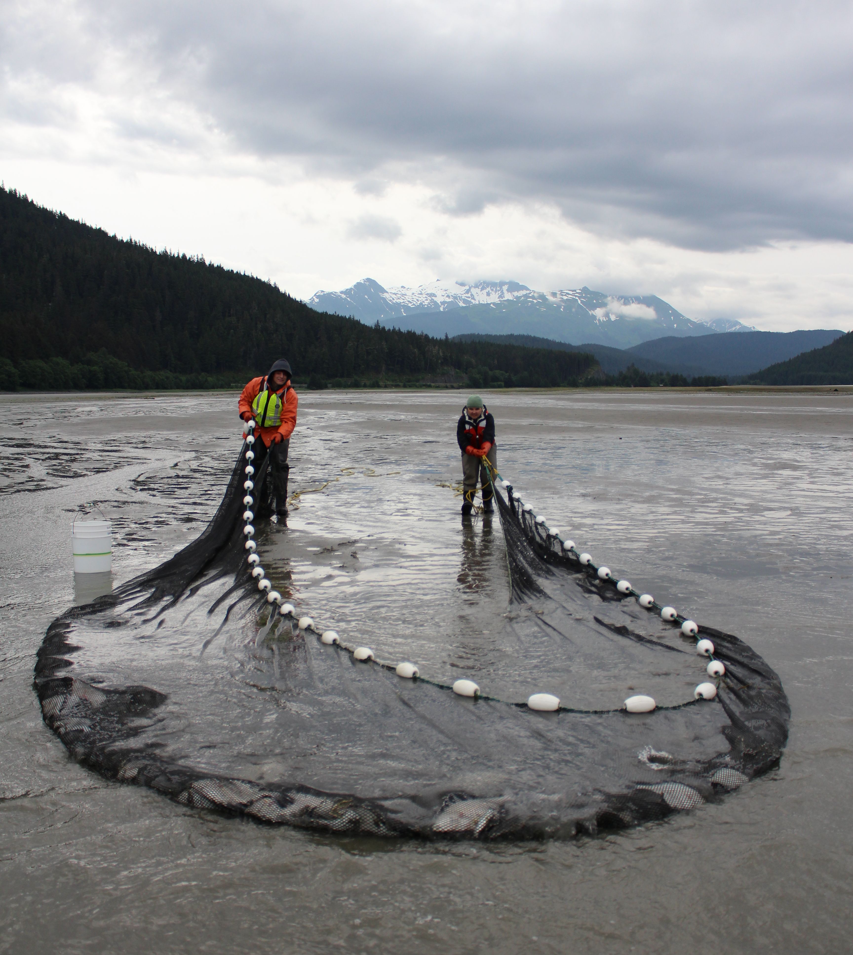 Seining_photo by Maggie Chan