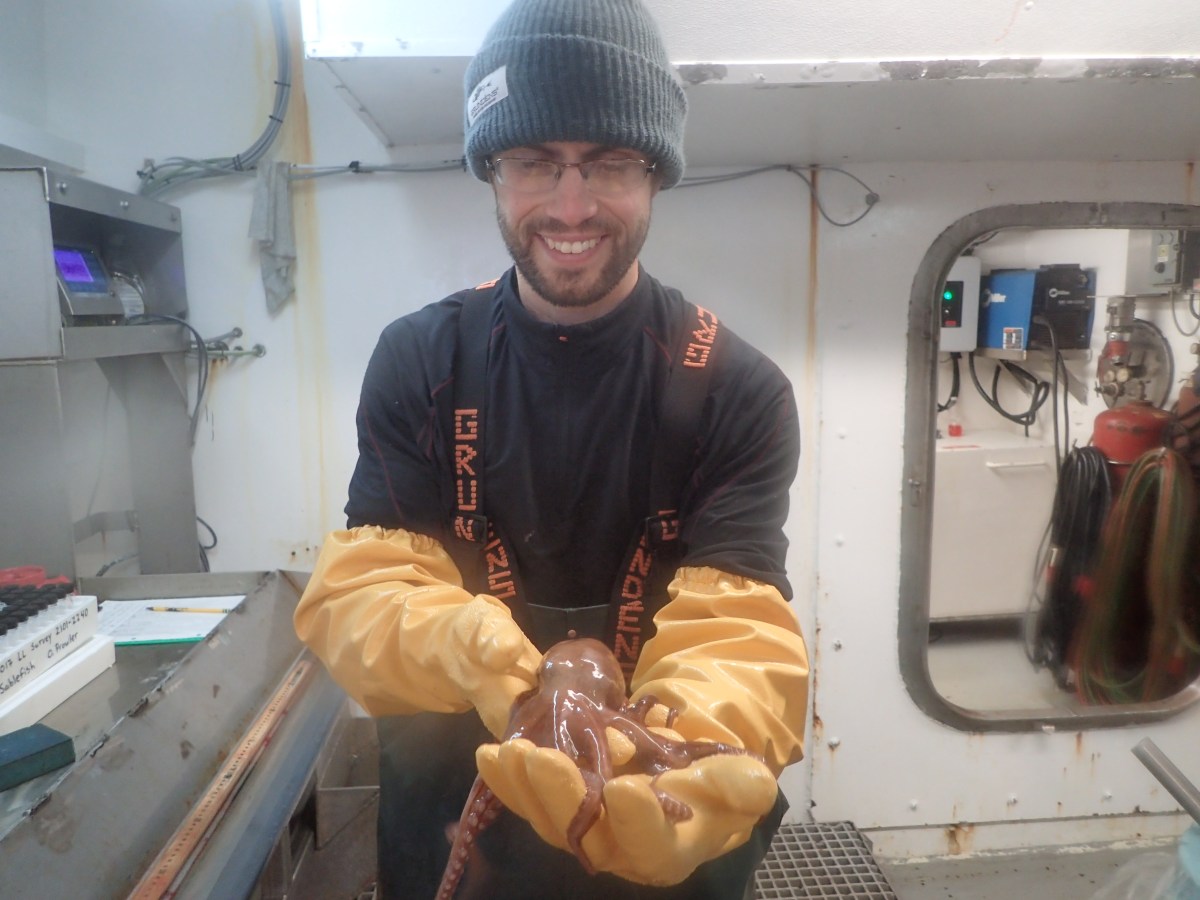 Baby octopus_photo by Karson Coutre.JPG