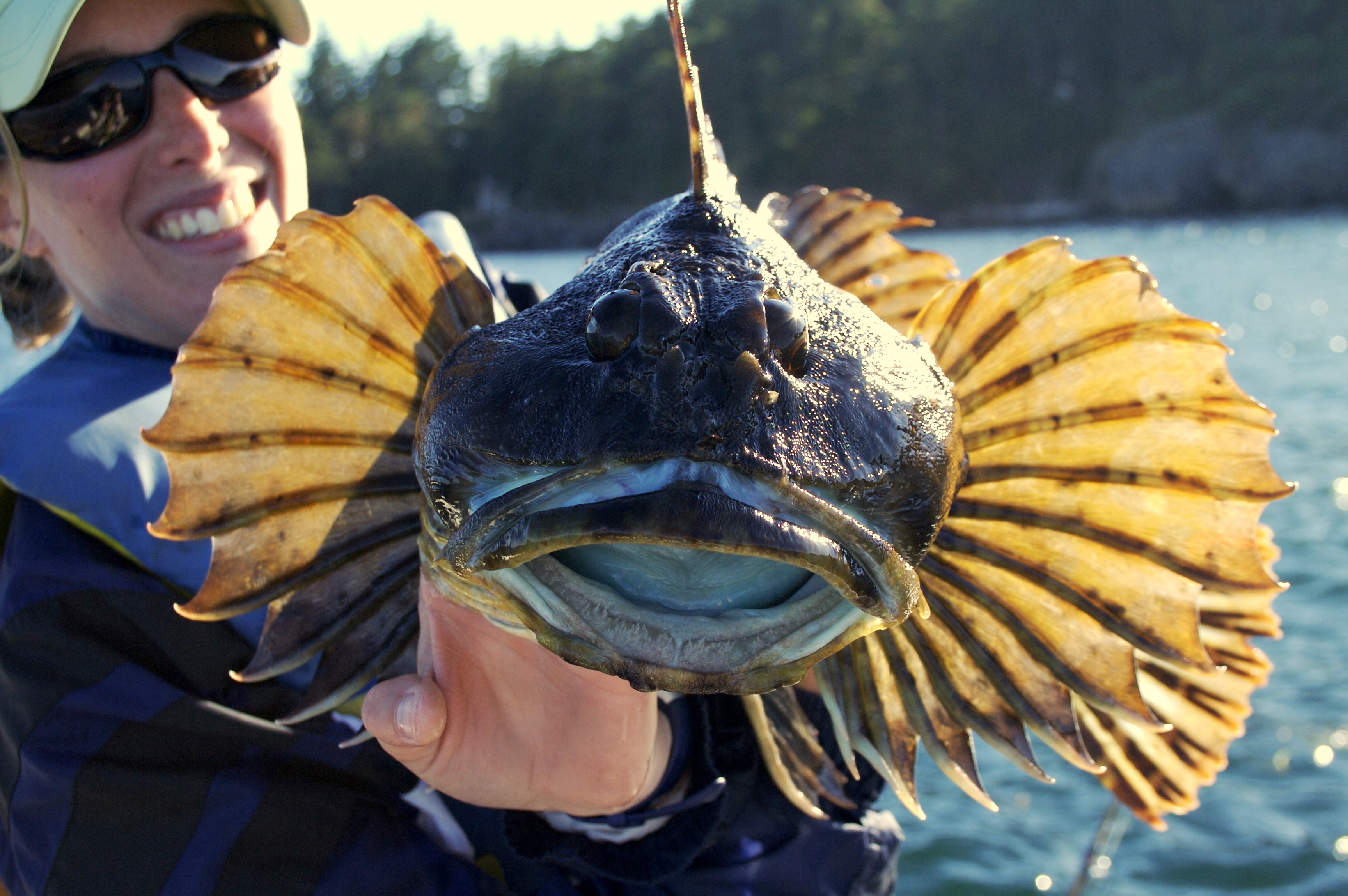 Cabezon_photo by Aaron Dufault.jpg