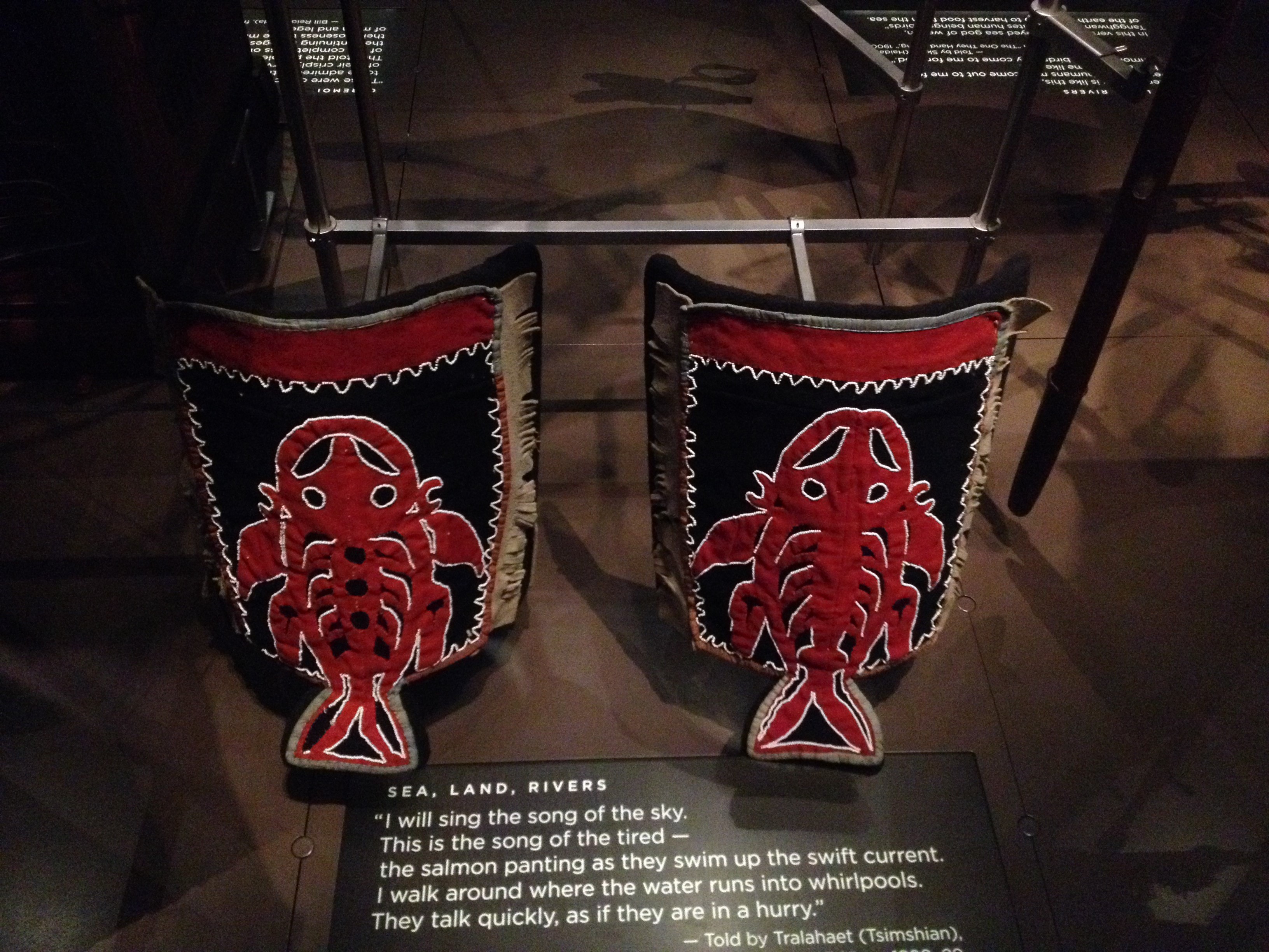 Sculpin leggings_photo by Anne Beaudreau.jpg