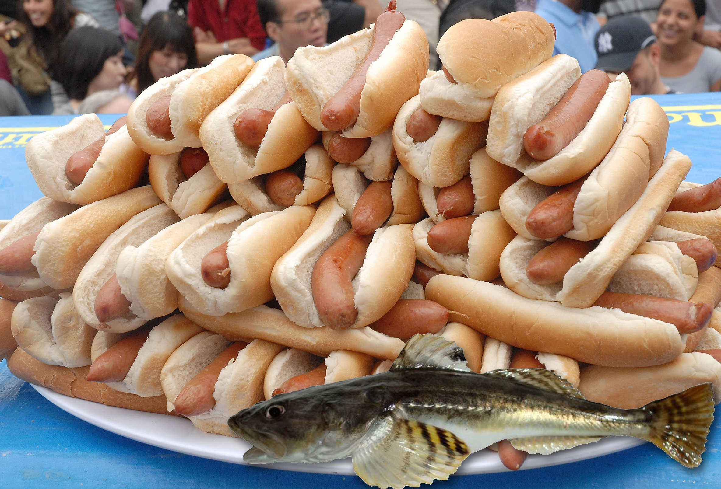 StaghornHotdogs_Anne Beaudreau.jpg