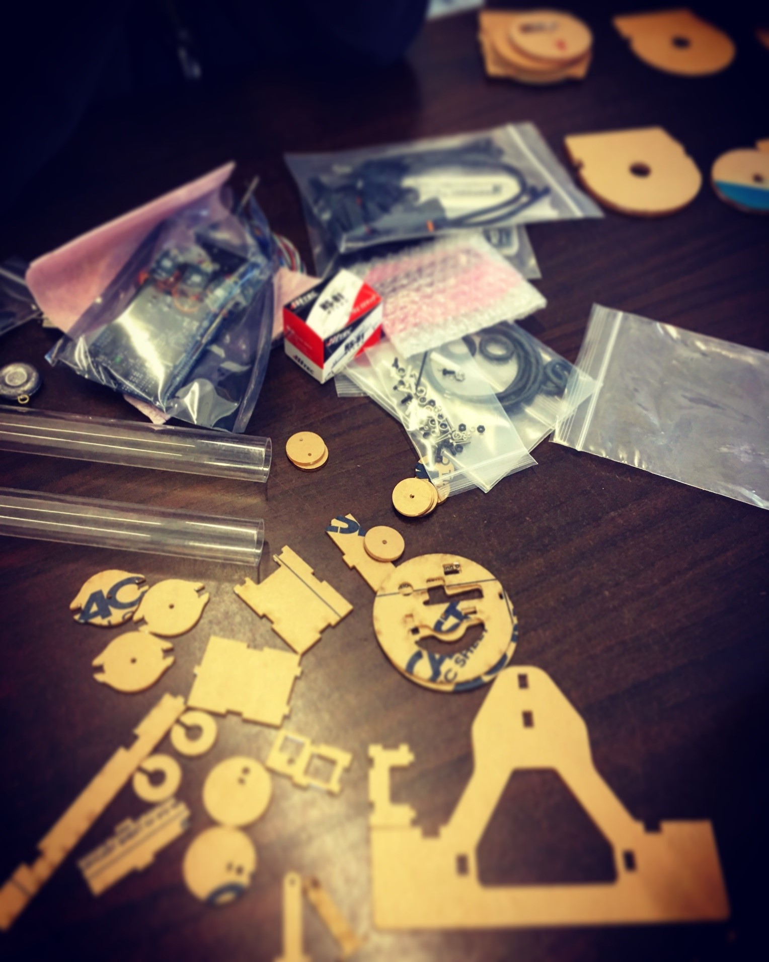 ROV pieces_photo by Veronica Padula