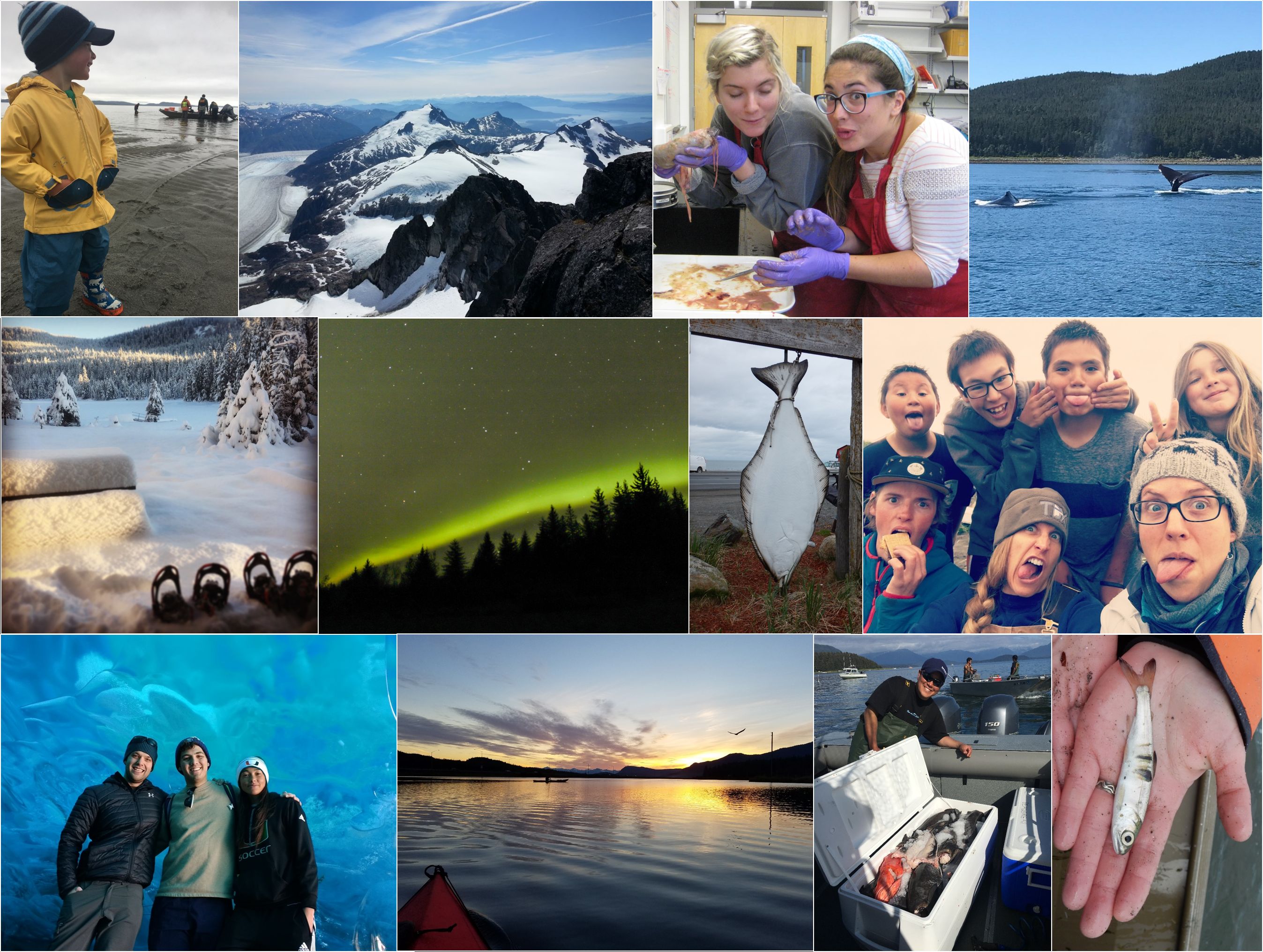 Thanksgiving Collage.jpg