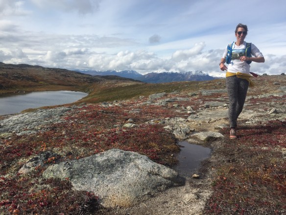 Natura Kesugi Ridge_photo by Michael Bach.jpg